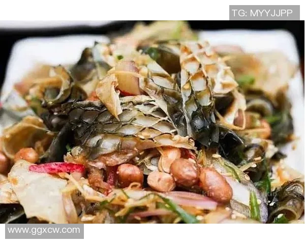 足球明星品尝美味鱼料理的趣味视频集锦与幕后花絮分享