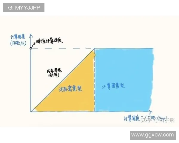 武汉排球队运营分析：成功经验与面临挑战的深度探讨